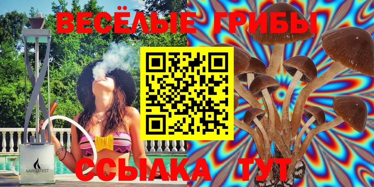 Псилоцибиновые грибы Magic Shrooms Видное