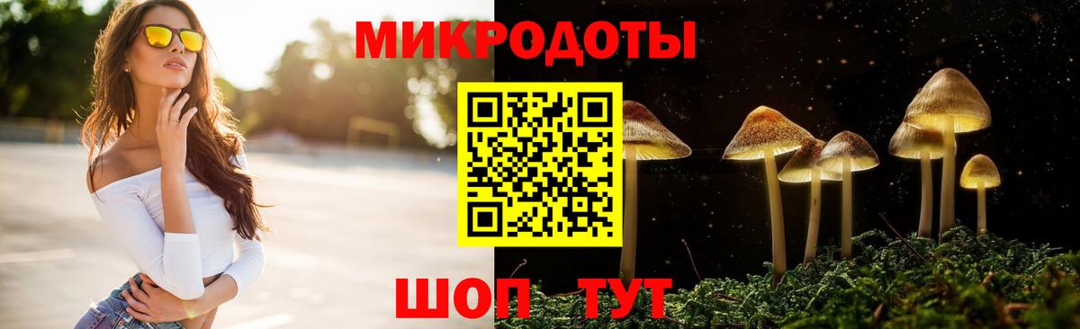 Псилоцибиновые грибы Psilocybe  Вход с VPN  Видное 